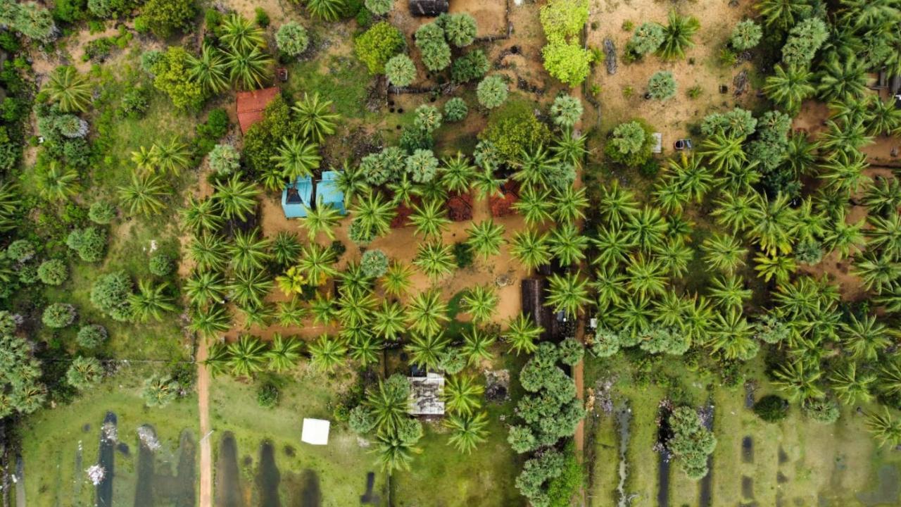 Araliya Villa Kalpitiya Kültér fotó