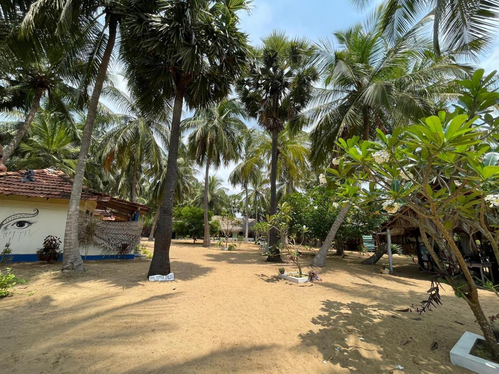 Araliya Villa Kalpitiya Kültér fotó