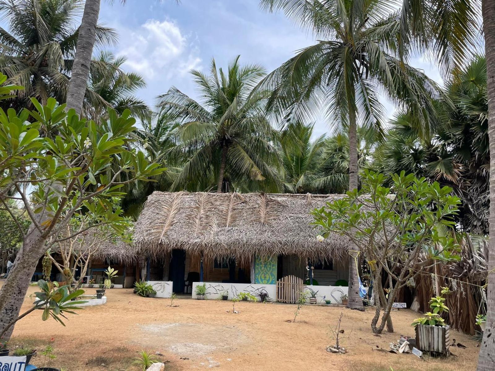 Araliya Villa Kalpitiya Kültér fotó
